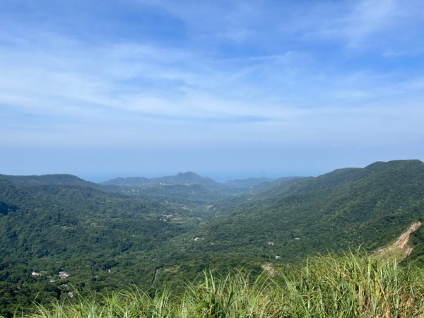 頂山-石梯嶺步道2267866