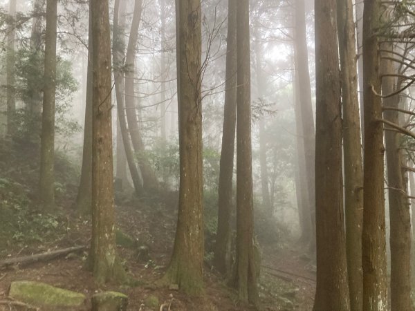 加里山｜第二座小百岳1156142