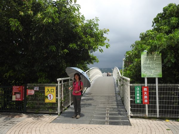 20190519 八卦山天空步道597516