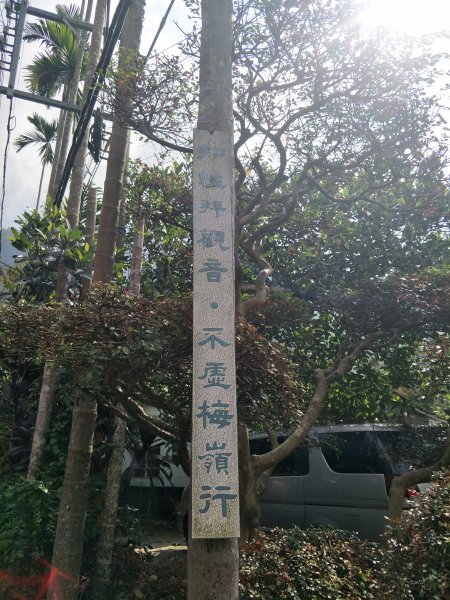 2019 11 14 竹子尖山步道735159