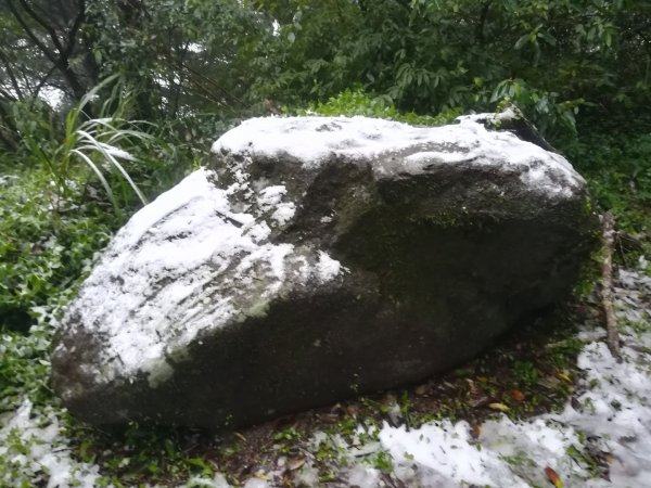 20210108冰封大屯山1232009