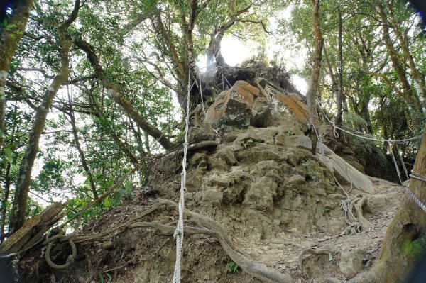 苗栗 獅潭 仙山、大窩山2984287
