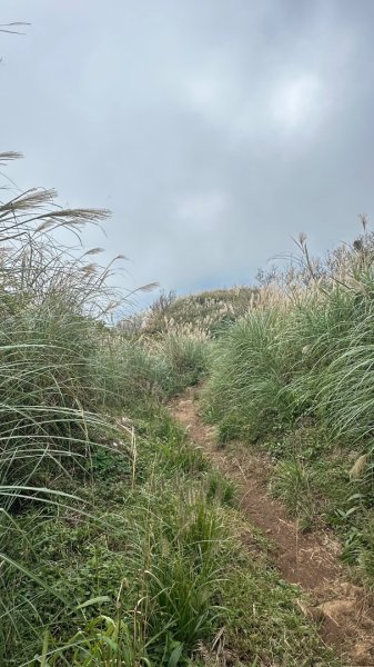 大屯山五連峰含面天山2934606