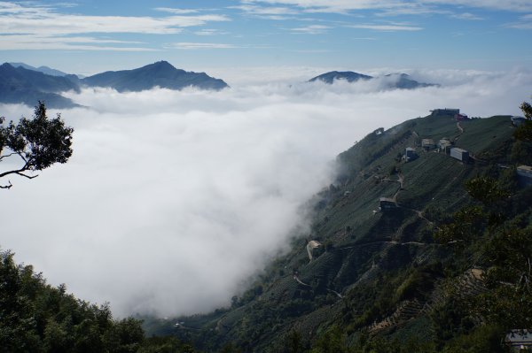 南投 鹿谷 龍鳳山、龍鳳峽山、三叉崙山、水桶寮山、內樹皮山、羊頭崙山、志騰山、竹崙山、溪頭山2962308