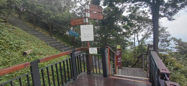 太平雲梯+雲之南道.嘉義梅山3118542