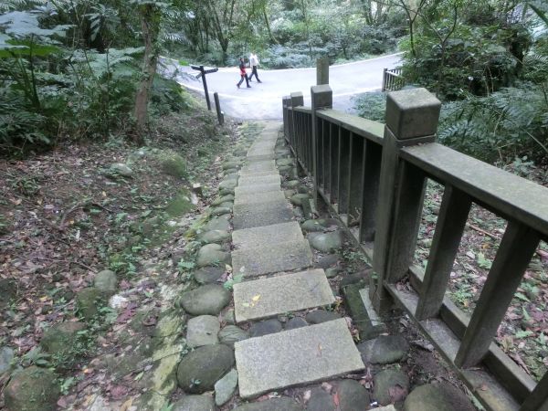 藤坪步道．六寮古道268595