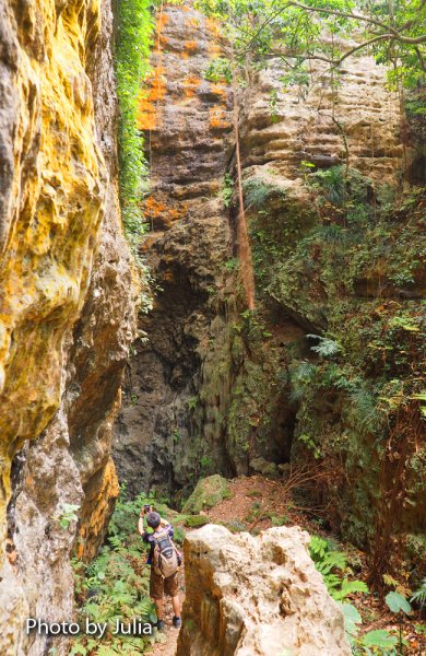 高雄柴山秘境 泰國谷 一簾幽夢878904