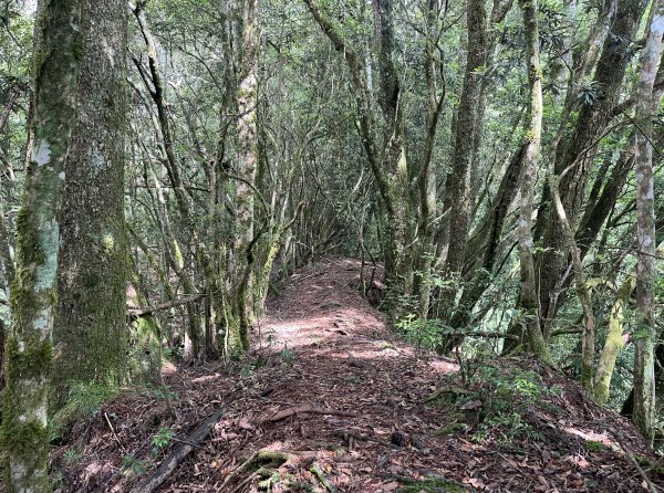 2025_0622 霞喀羅大山2819212