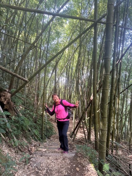 嘉南雲峰、九穹神木3014472