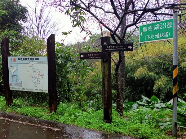 雨中漫步淡水跤頭趺崙步道、楓樹湖步道、天元宮1618536