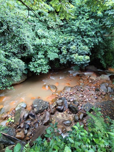 天母→猴洞→半嶺→第二展望臺→湖底步道→湖山國小步道→湖山綠地→前山公園→白雲瀑布【發現陽明山】2633849