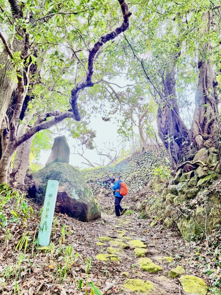 熊野古道中邊路D1 紀伊田邊、潮見峠O繞 2025.3.162744439