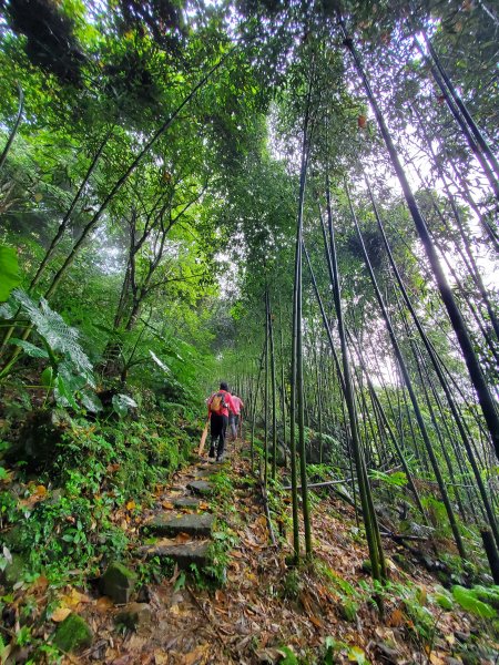 小百岳-馬那邦山1082596