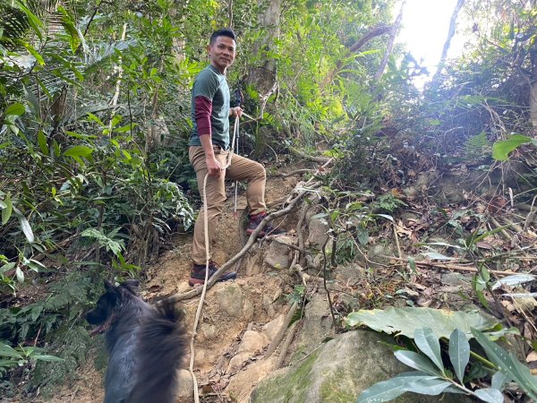 金童山.汶水山.玉女山【冬天的郊山縱走=高山等級的享受】2680944
