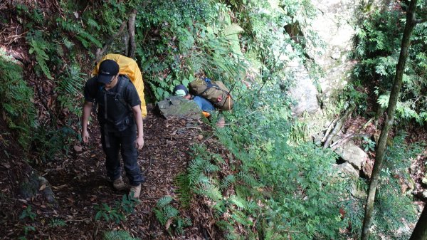 雙龍林道上巒安堂西巒大山1778612