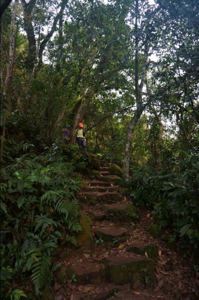 溪洲山 新溪洲山 石門水庫連走1304257