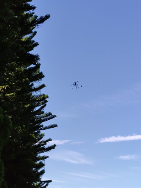 阿罩霧山2872530