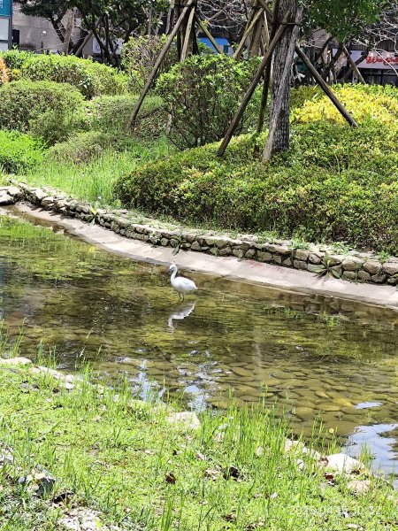 宏匯瑞光廣場、大港墘公園、至誠公園、師大公園2761912