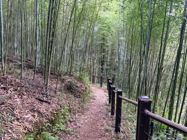 白蘭溪古道2846935