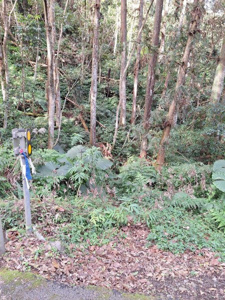 仙山古道群峰O型2693639