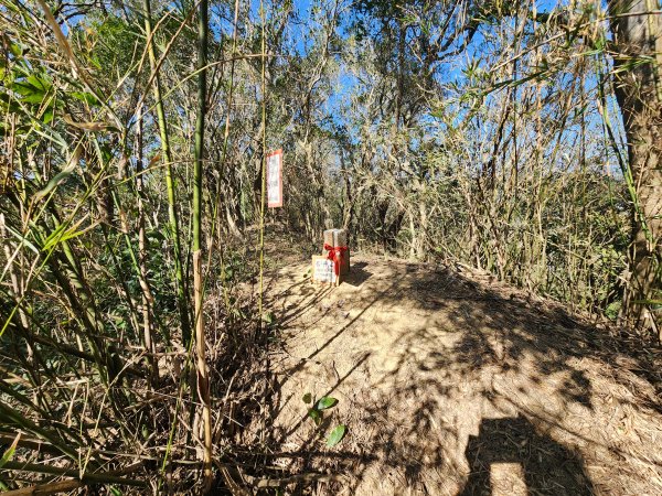 20250114石井山、榴子坑山、後脊山、龍頂山2728592