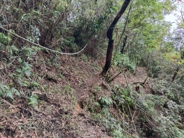 瑞芳區八分寮頂砲台+八分寮頂山+八分寮古道O型2772383