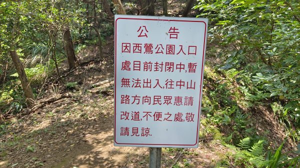 (姨婆趴趴走)第十集:攀登新北鶯歌蛋山，鶯歌郊山步道群縱走(二)2167975