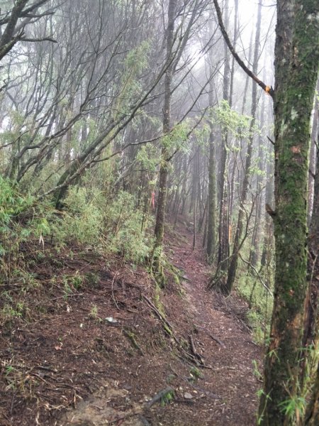 石水山&真鹿林山1429850