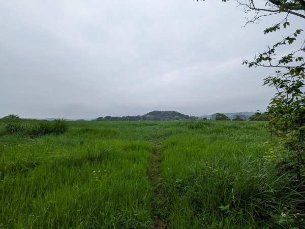 銅鏡山林步道2134886