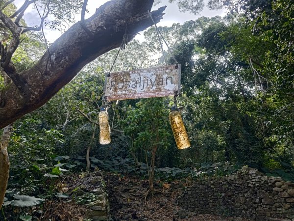 盆貿里山三盆連走2749574