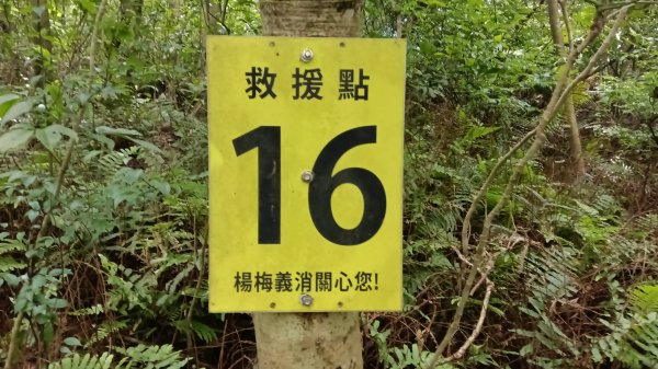 楊梅區龜山頭山-福人步道-莊迷湖-保甲路古道-東森山林森林步道-福人步道3074675