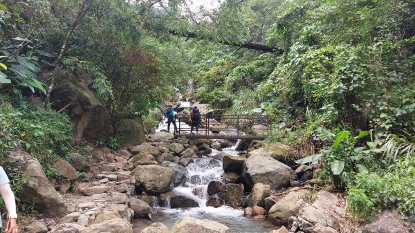 雲嘉九連峰1438984