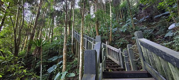 2025/11/22_五指山橫向登山步道+仙洞步道 O型2944181