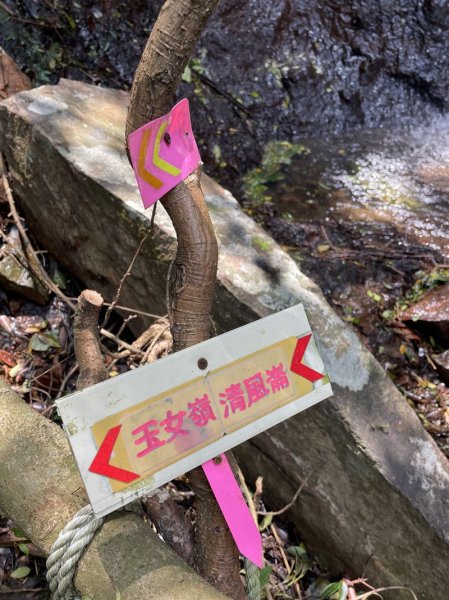 小觀音山清玉線2756610