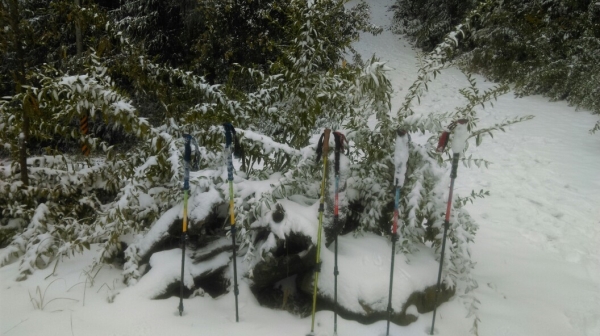 20160124新竹鵝公髻山下雪啦28948