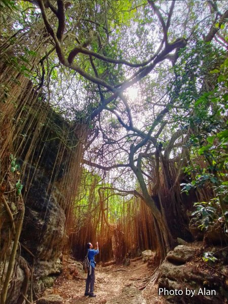 高雄柴山秘境 泰國谷 一簾幽夢878908