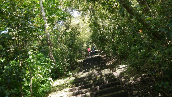 七星嶺步道登山健行趣(郊山)1640111