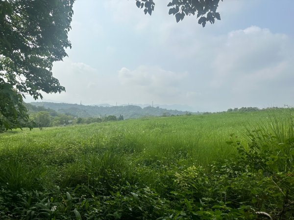 苗栗三灣-銅鏡山林步道2628293