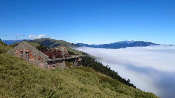 2020/11/11 合歡東峰、石門山1311446