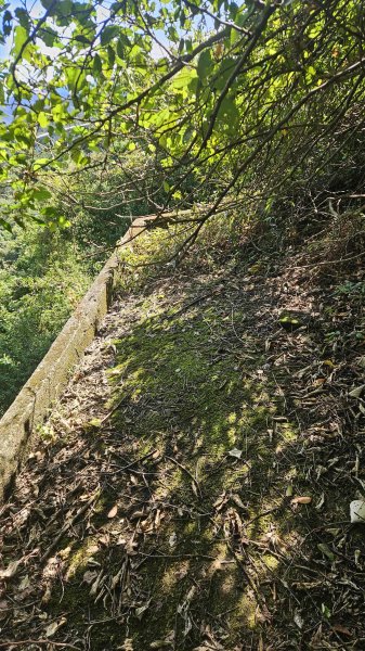 20250925柑子坑山動01-動04-市929-市582894940