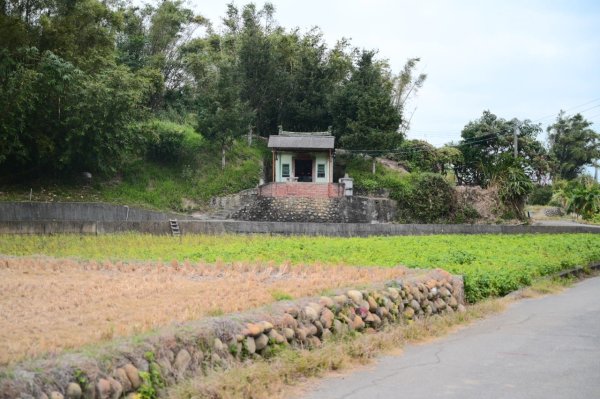 20241208三銅縱走(三義山-三通嶺-長道坑山-九華山)2664888