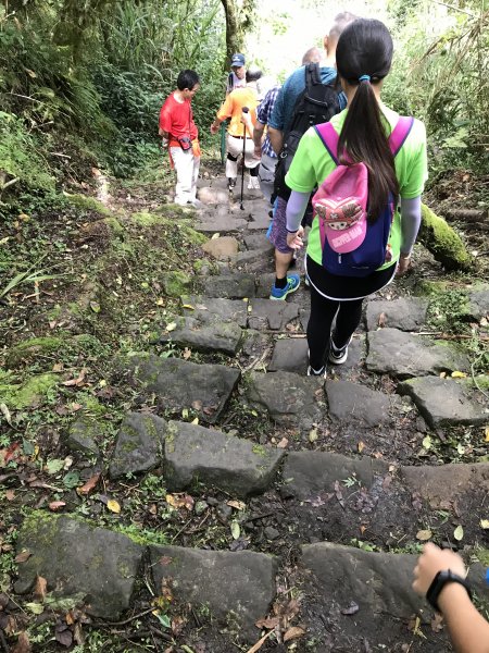 109年7月12日嘉義大凍山1040118