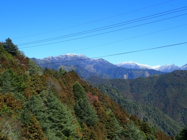 漫遊大雪山遊樂區1312326