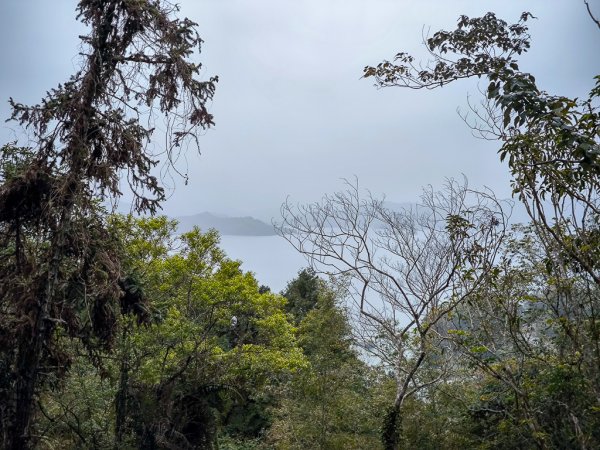 2025-03-29 日月潭「內湖山步道」2750221