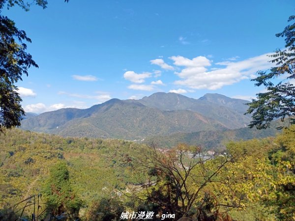 【南投埔里】天旨宮鰲頭山步道x虎頭山鯉魚潭步道x虎頭山觀景平台連走