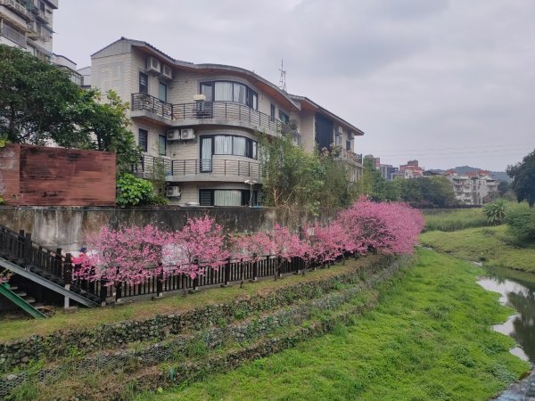 ［雙湖縱走］（東湖~金龍湖）（內湖~汐止）（2024/2/10）（初一）2426784