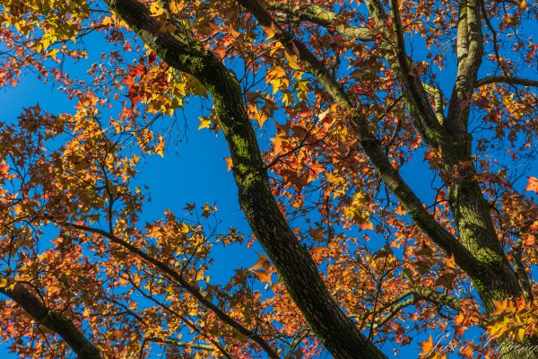 [台北]紗帽山2956573