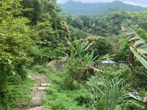 大崎棟古道、騎龍古道2772298