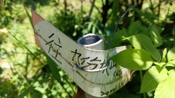 貢寮區慈南寺-九份坑山-文秀坑產道去回3064785