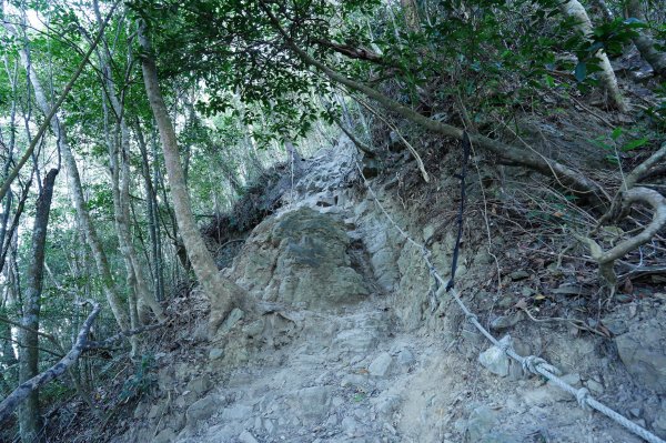 臺中 和平 白毛山、次郎山2670926